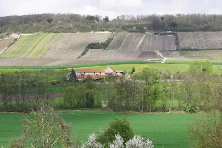 Paysage avec des parcelles de grandes cultures et de vignes