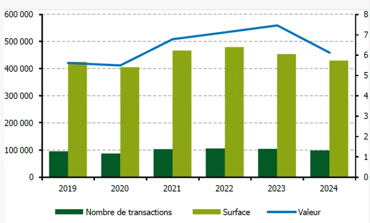 Evolution des transactions du marché foncier en 2024