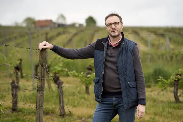 Photo de Jean-François Fruttero, président de la CCMSA, devant un vignoble.
