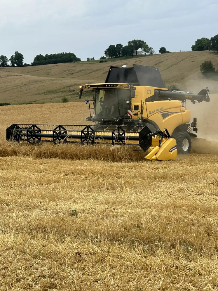 Moissonneuse-batteuse New-Holland CR dans un champ d'orge