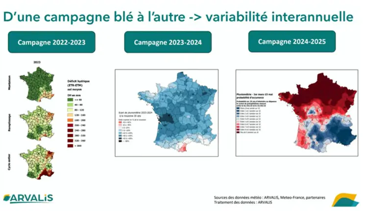 Illustration de la variabilité des campagnes de blé par Arvalis