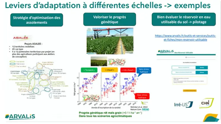 Quels leviers d'adaptation au changement climatique selon l'echelle