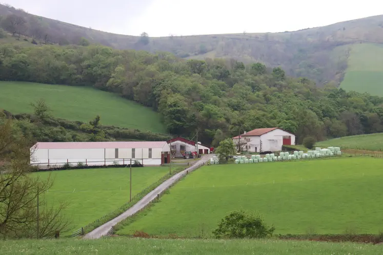 Ferme avec pâturages et bâtiments d'exploitation