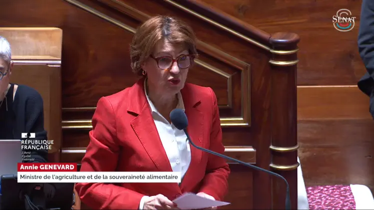 La ministre de l’Agriculture Annie Genevard annonçant le 28 mai au Sénat un nouvel assouplissement des tirs de défense, à destination des éleveurs bovins.