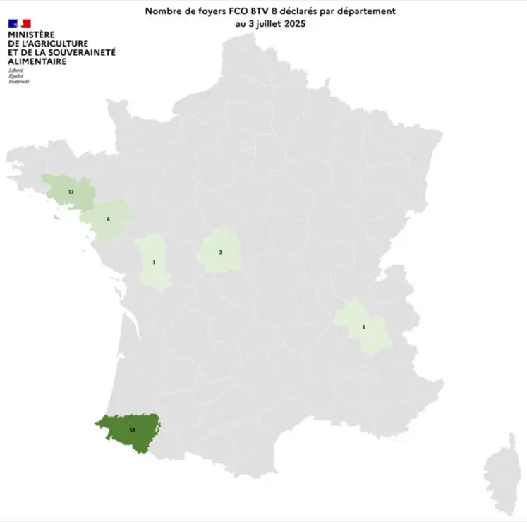 Carte de France présentant la répartition des foyers de FCO 8 déclarés par département au 3 juillet 2025