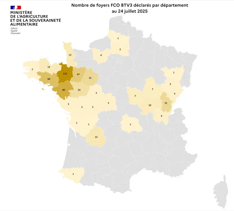 Carte de France du nombre de foyers FCO 3 déclarés par département au 24 juillet 2025.