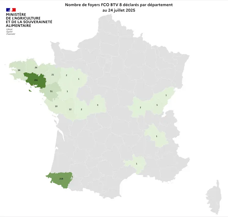 Carte de France du nombre de foyers FCO 8 déclarés par département au 24 juillet 2025.