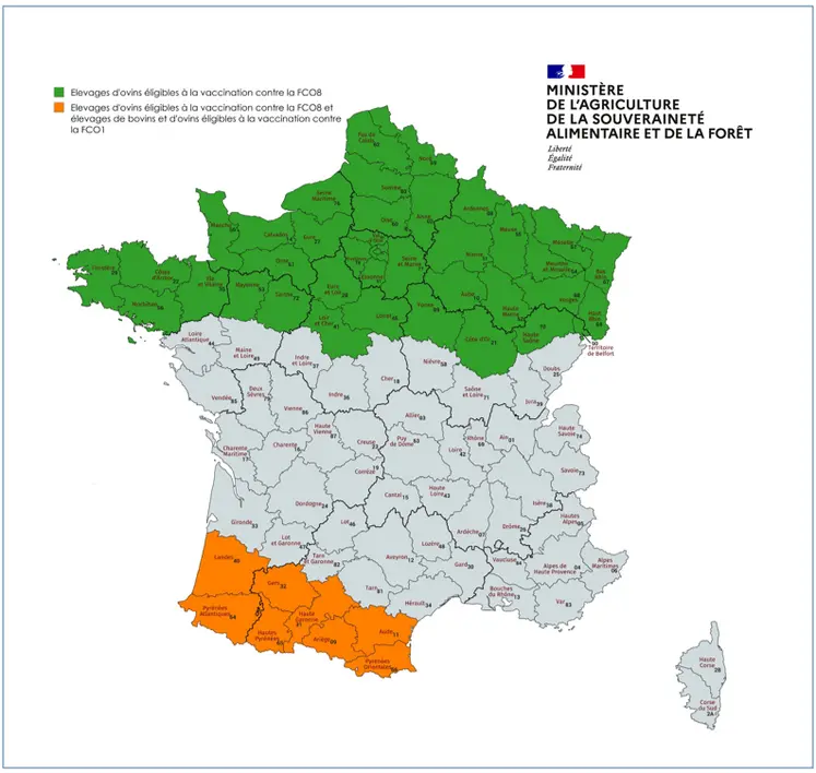 Carte de France présentant les départements priorisés pour les campagnes vaccinales contre la FCO 1 et la FCO 8. La partie Nord du Pays est en vert, correspondant à la campagne vaccinale contre la FCO 8, et les départements proches de l'Espagne sont en orange correspondant à la campagne vaccinale contre la FCO 1. 