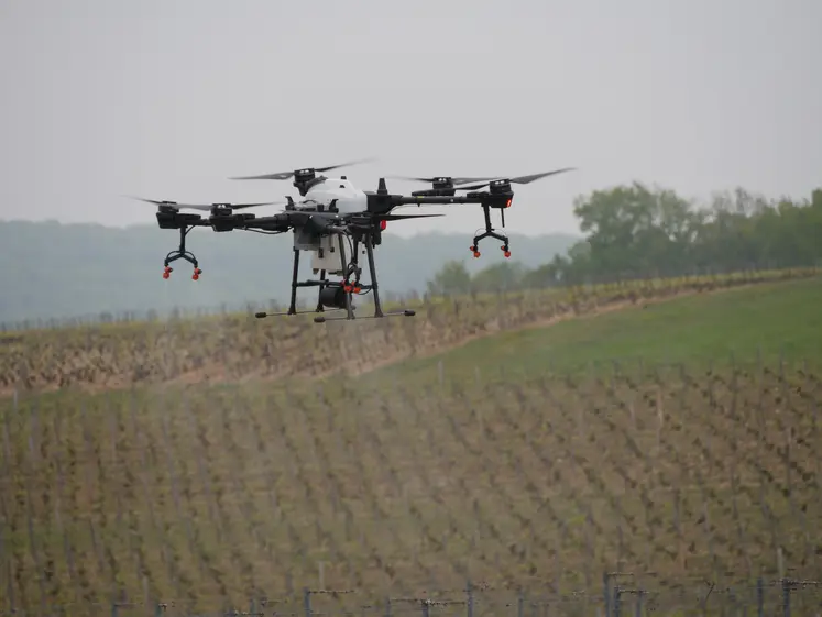 drone au dessus d'un vignoble