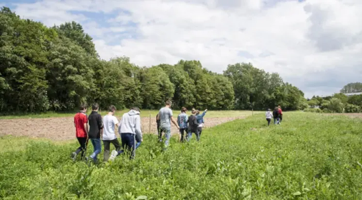 Jeunes marchant dans un pré