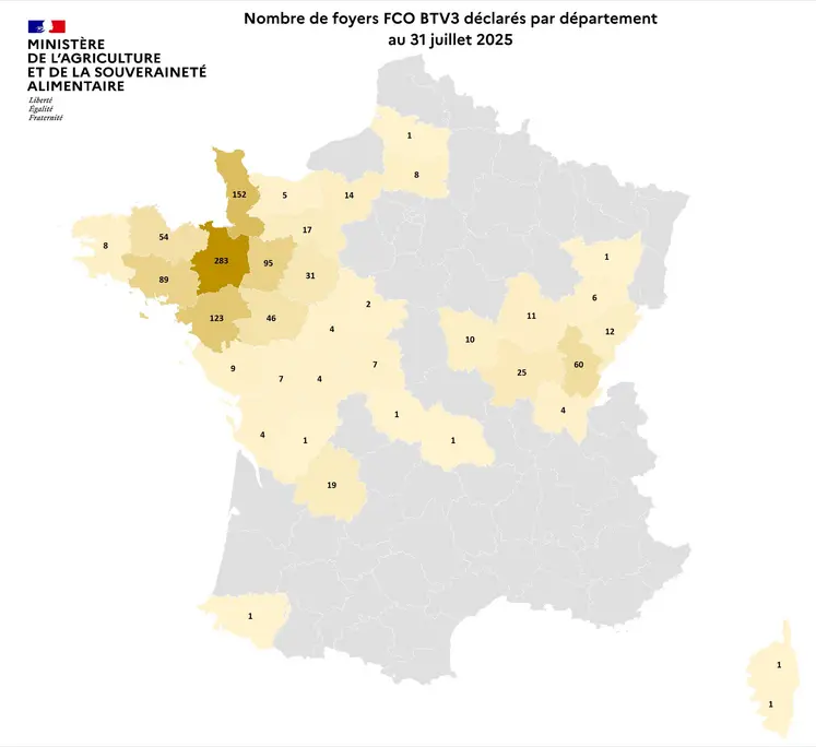 Carte de France du nombre de foyers de FCO 3 par département détectés entre le 1er juin et le 31 juillet 2025