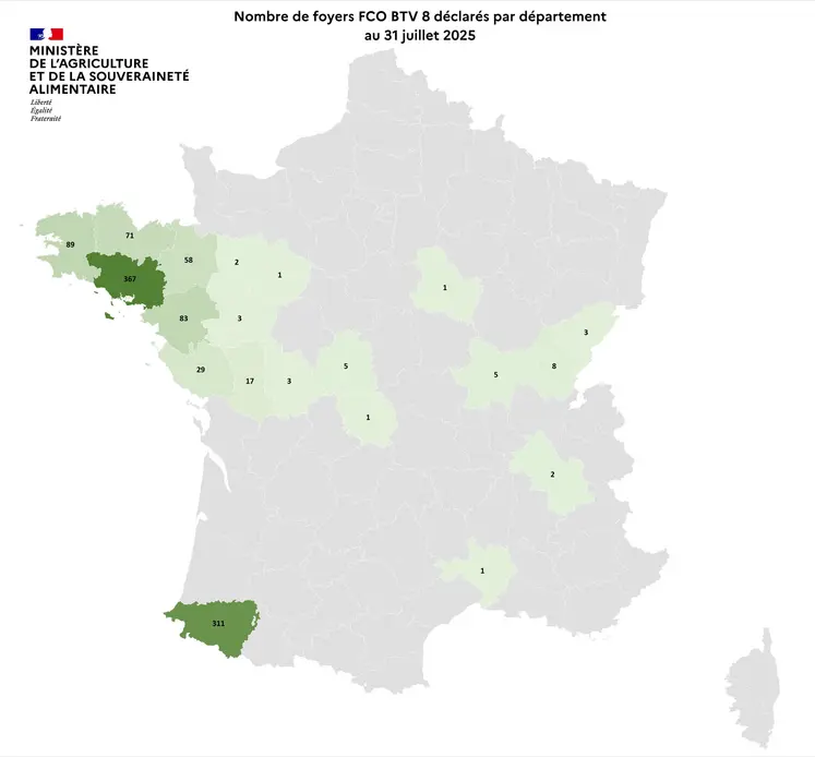 Carte de France du nombre de foyers de FCO 8 par département détectés entre le 1er juin et le 31 juillet 2025