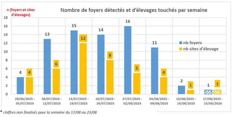 Evolution du nombre de foyers de DNC en France