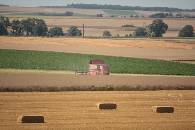 Paysage agricole de polyculture