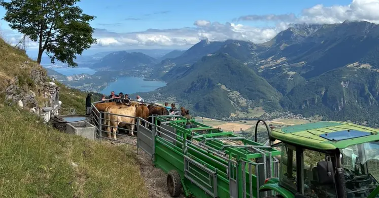 Rencontre entre éleveurs et vétérinaires lors de la vaccination contre la DNC devant un lot de vaches.
