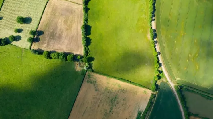 Champs et haies en vue aérienne  