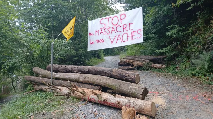 Route bloquée par des troncs d’arbre avec un pancarte « stop aux massacres des vaches » et un drapeau de la Coordination rurale