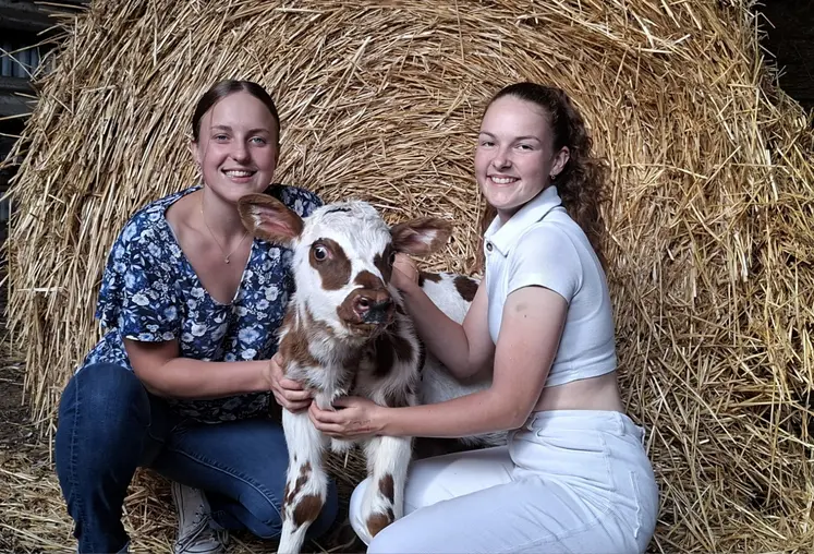 Deux jeunes étudiantes avec un veau devant accroupies devant une botte de paille