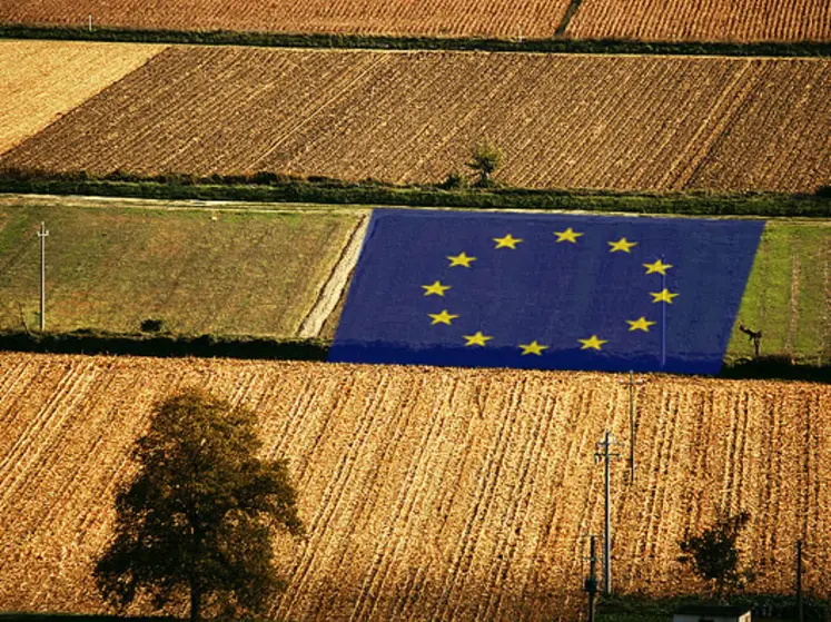 parcelles dans un champ avec drapeau européen au centre
