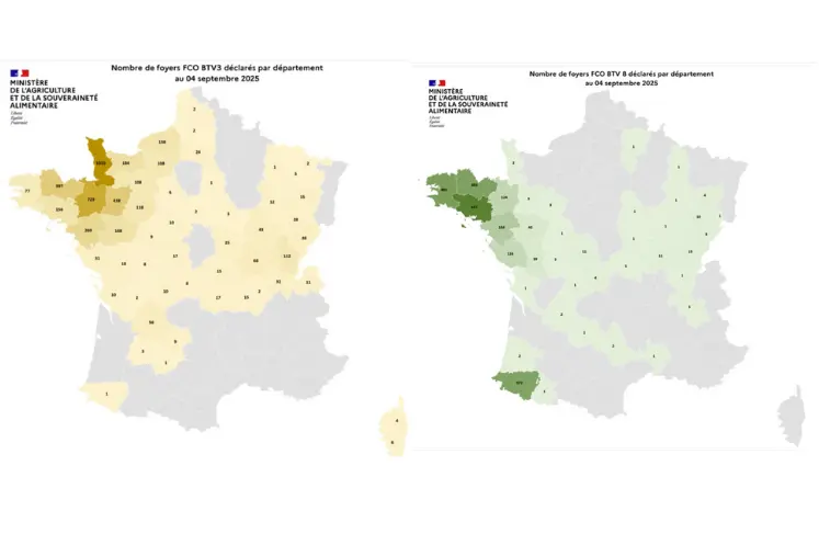 Cartes des foyers de FC03 et FCO8 depuis le 1er juin 2025