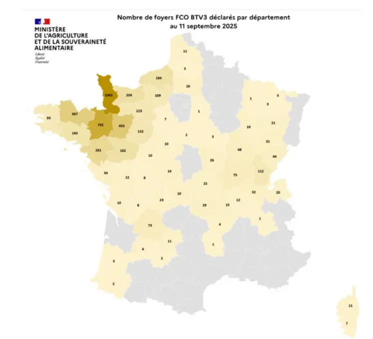 Carte des cas de FCO3 au 12 septembre 2025