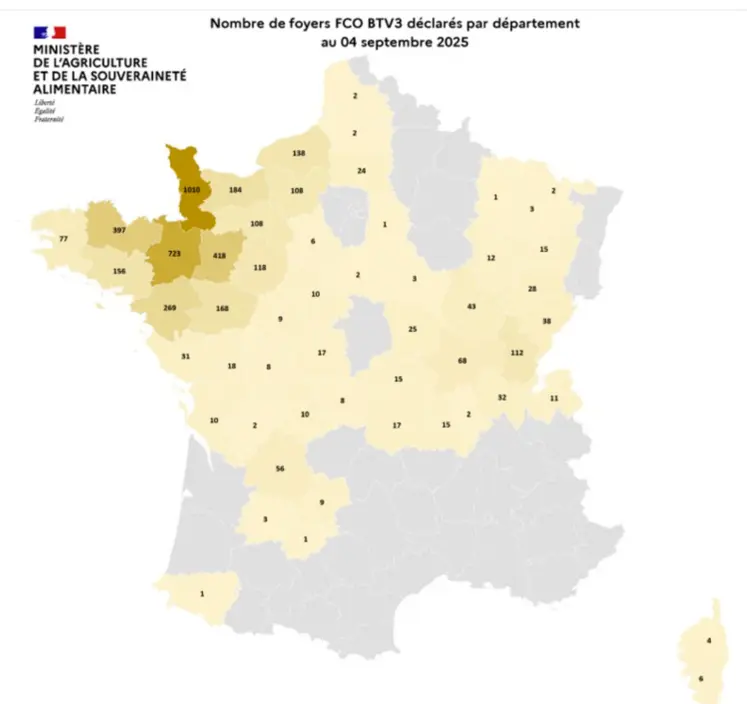 Carte des foyers de FCO3 au 4 septembre 2025