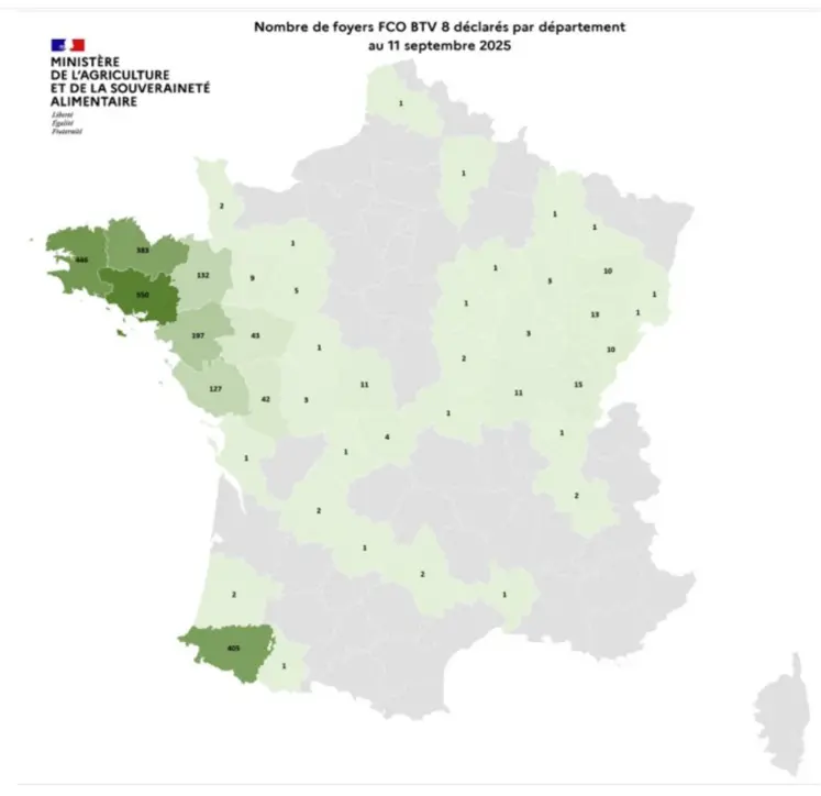 Carte des cas de FCO8 au 12 septembre 2025