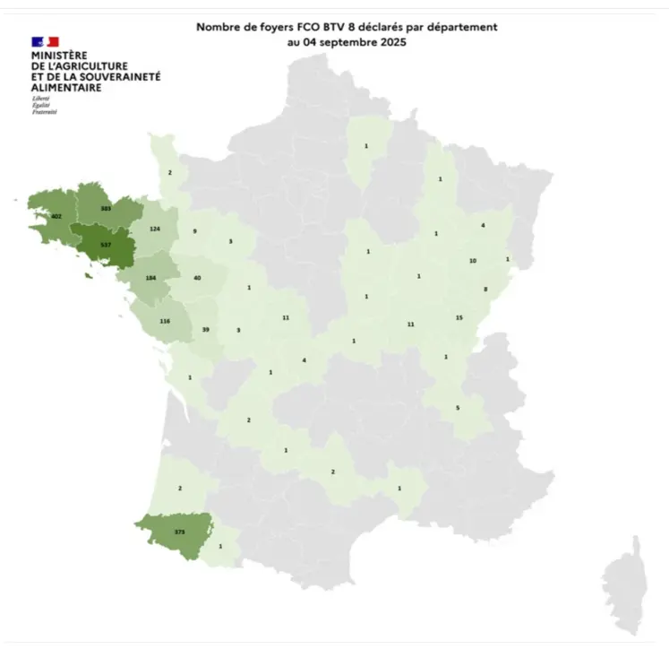 Carte des foyers de FCO8 au 4 septembre 2025