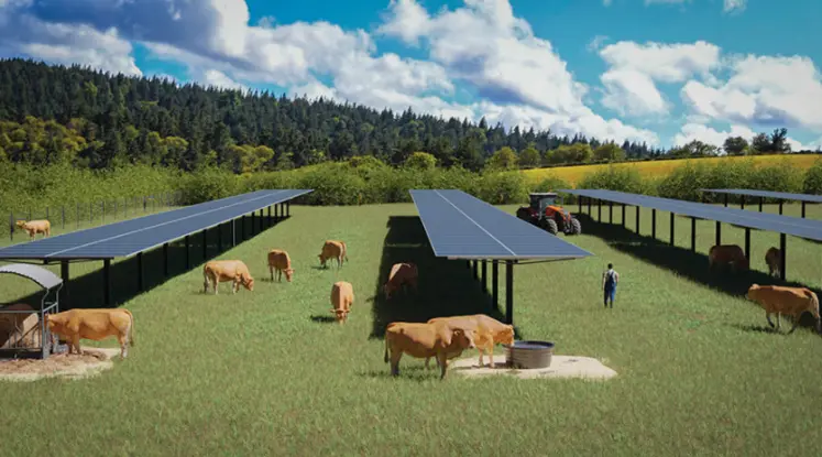 Exemple d’illustration d’ombrières d’élevage