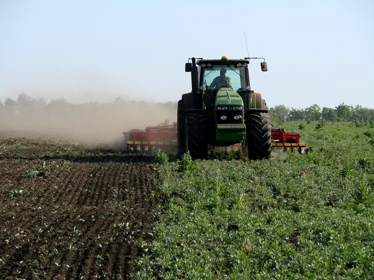 Un agriculteur dans son tracteur détruit un couvert végétal de légumineuses.