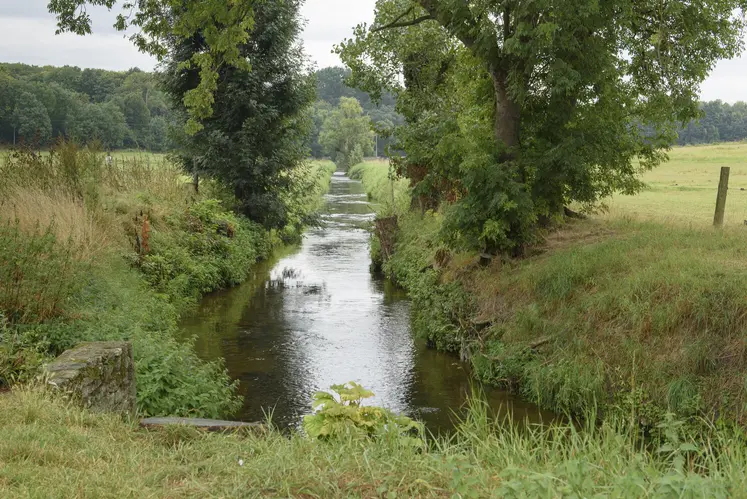 cours d'eau au milieu de champs et d'arbres