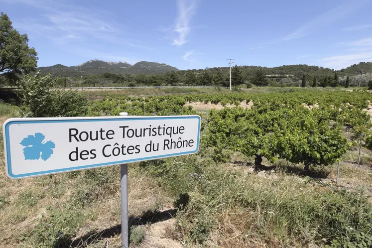 vignes avec au premier plan un panneau touristique