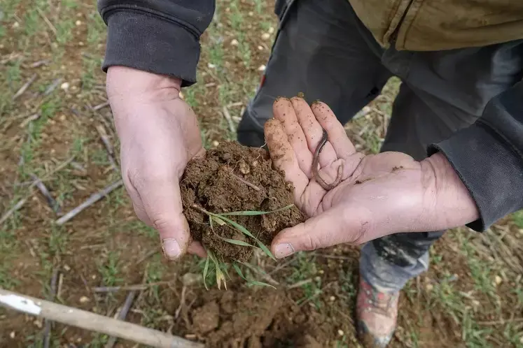 Mains d’agriculteurs avec une motte de terre de sa parcelle riche en vers de terre