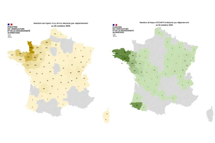 Carte des foyers de la FCO 3 et de la FCO 8 enregistrés entre le 1er juin et le 2 octobre 2025