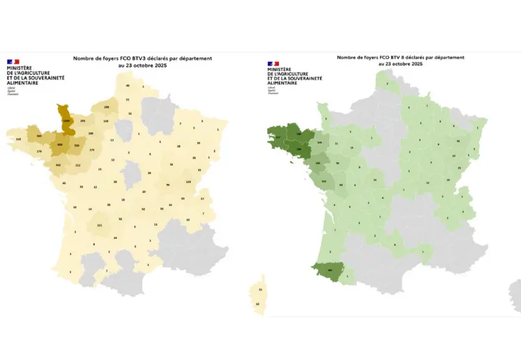 Cartes des cas de FCO3 et FCO8 au 23 octobre depuis le 1er juin 2025.