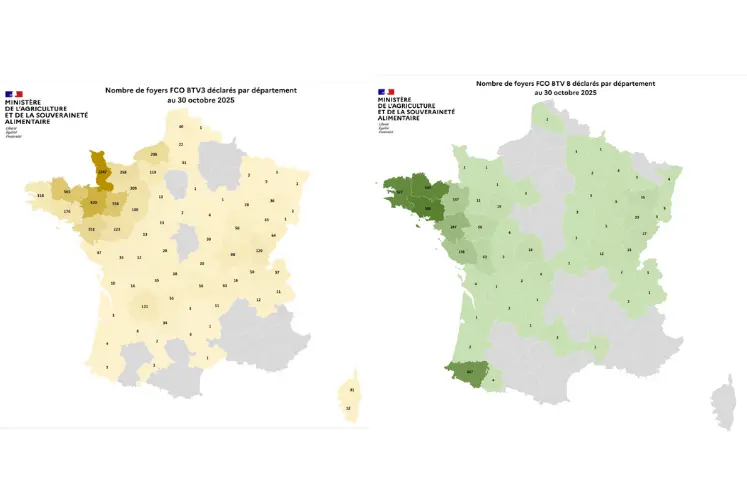Cartes des foyers de FC03 et FCO8 depuis le 1er juin 2025