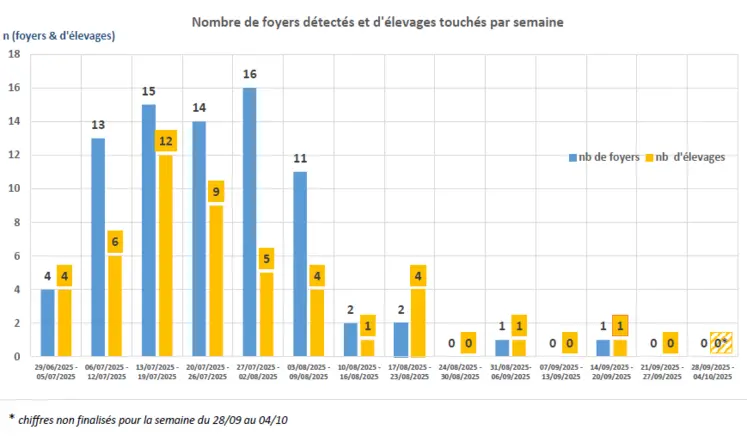 Histogramme de l'évolution des cas de DNC depuis juin 2025