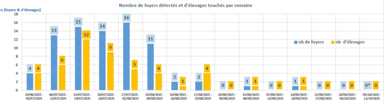 Evolution des cas de DNC en France depuis juin 2025.