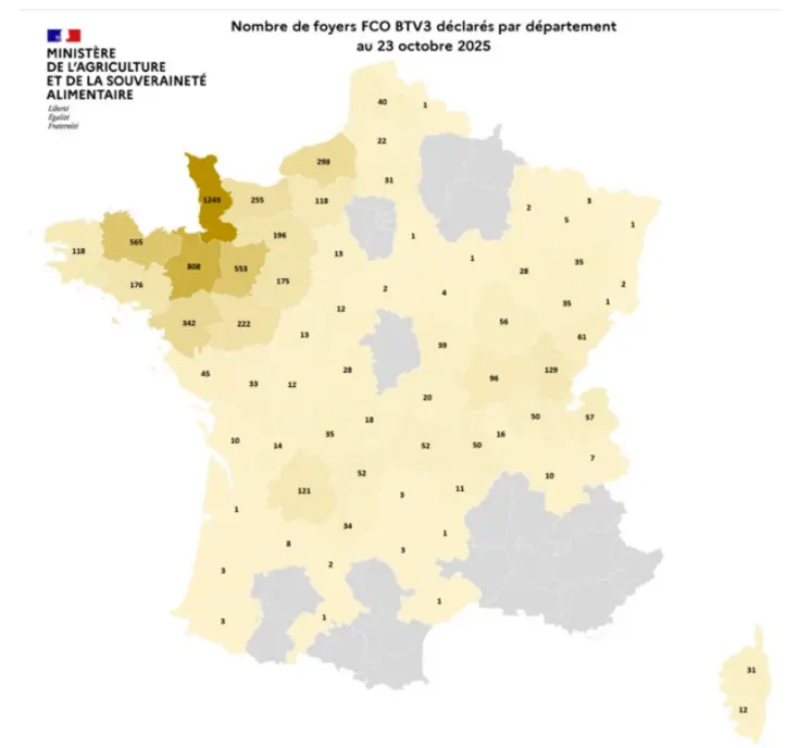 Carte des foyers de FCO3 au 23 octobre 2025