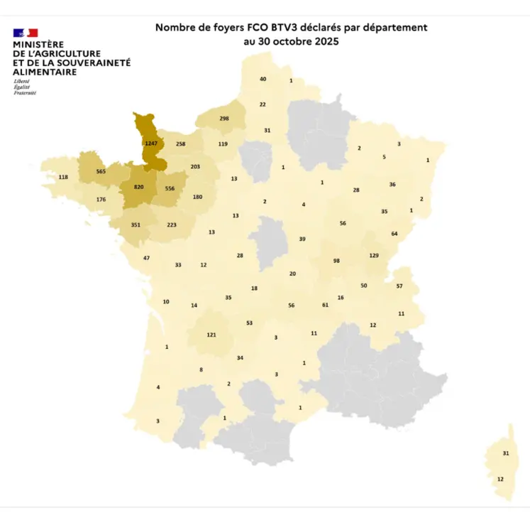 Carte des cas de FCO3 au 30 octobre 2025