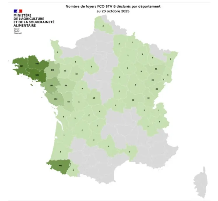 Carte des cas de FCO8 au 23 octobre 2025
