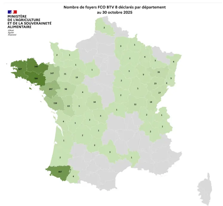 Carte des cas de FCO8 au 30 octobre 2025