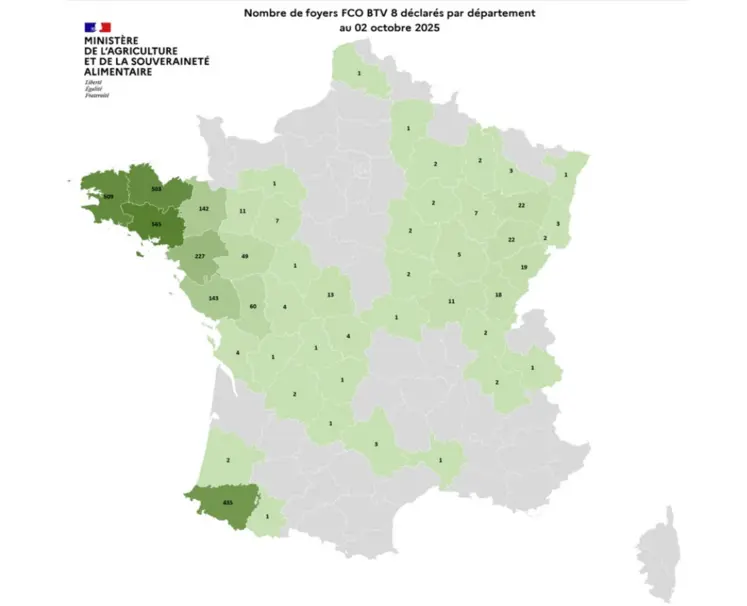 Carte des foyers de la FCO 8