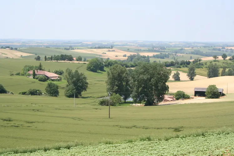 Paysage agricole dans le Sud-Ouest.