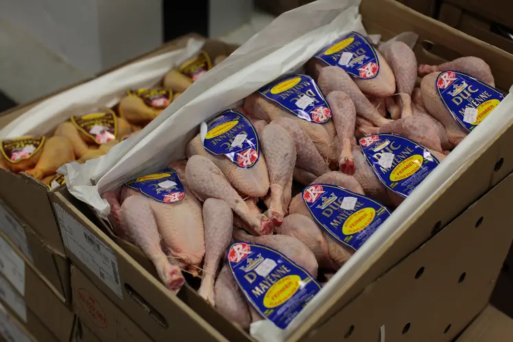 poulets emballés avec étiquette dans un carton