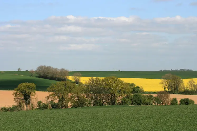 Paysage agricole au printemps avec des bocages, des haies, du colza en fleurs, et de l'orge en culture.