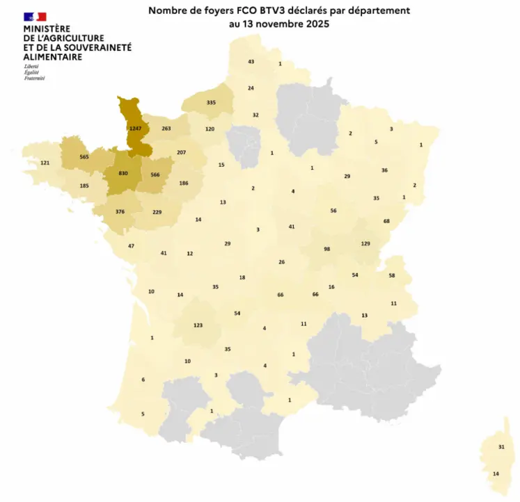 Carte des foyers de FCO 3 au 13 novembre 2025