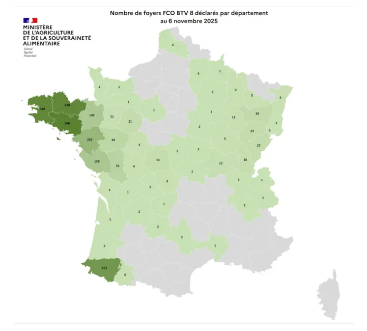 Carte des foyers de FCO8 au 6 novembre 2025