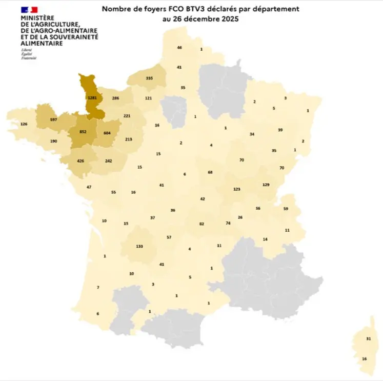 Carte de France du nombre de foyers de FCO 3 par département détectés entre le 1er juin et le 26 décembre 2025