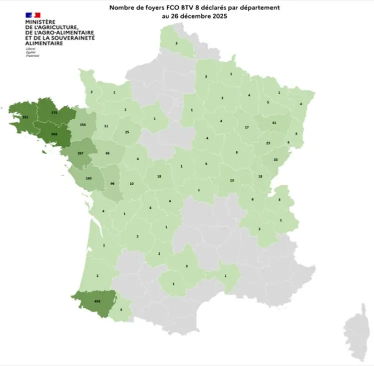 Carte de France du nombre de foyers de FCO 8 par département détectés entre le 1er juin et le 26 décembre 2025